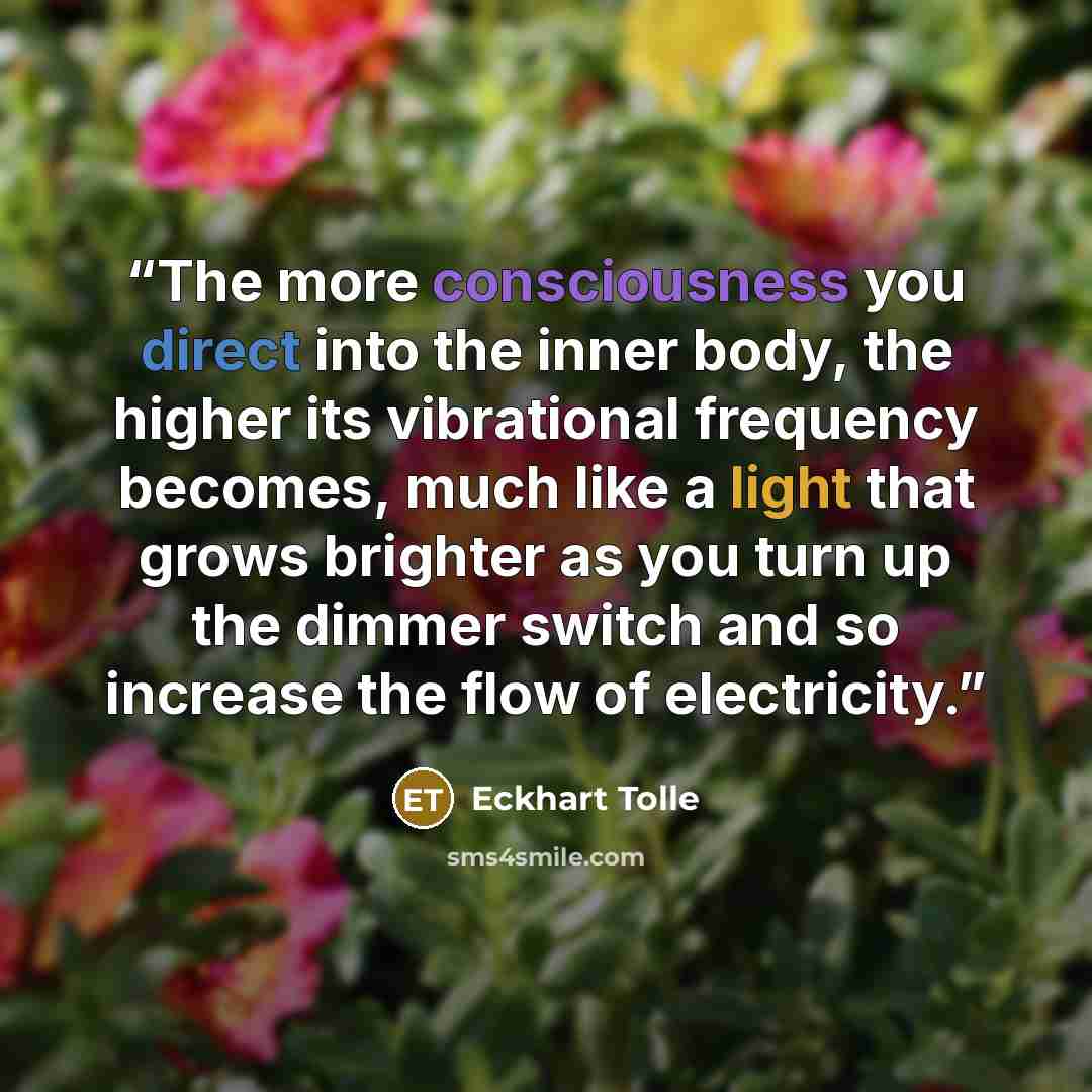 “The more consciousness you direct into the inner body, the higher its vibrational frequency becomes, much like a light that grows brighter as you turn up the dimmer switch and so increase the flow of electricity.” quote by Eckhart Tolle