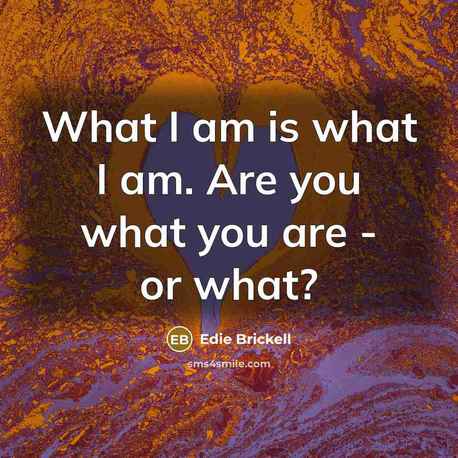 “What I am is what I am. Are you what you are - or what?” quote by Edie Brickell