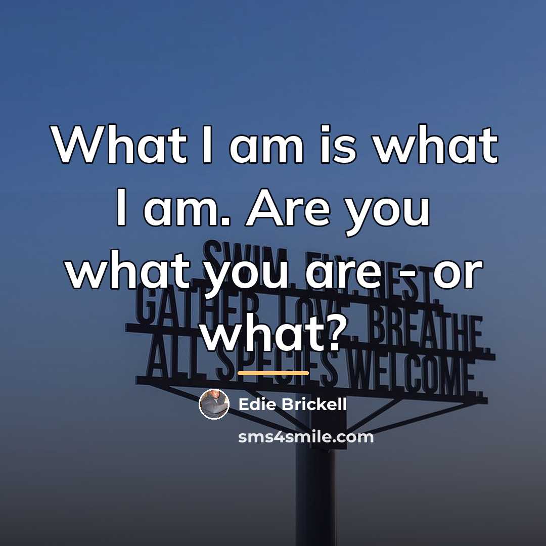 “What I am is what I am. Are you what…” quote by Edie Brickell