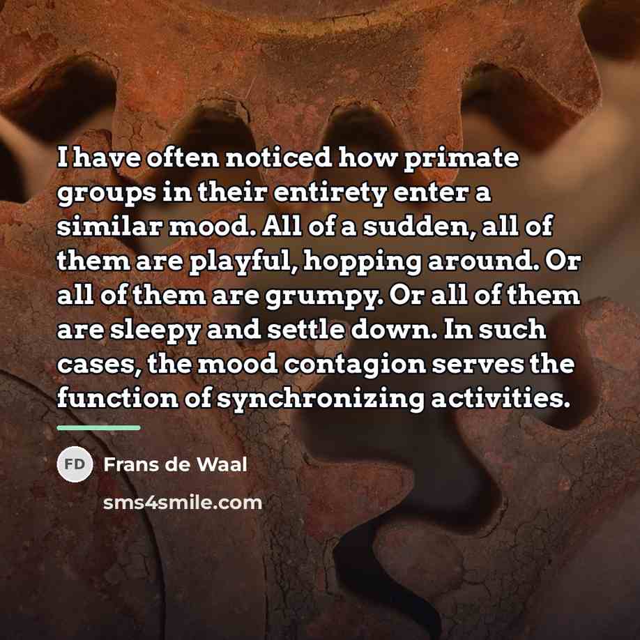 “I have often noticed how primate groups in their entirety…” quote by Frans de Waal