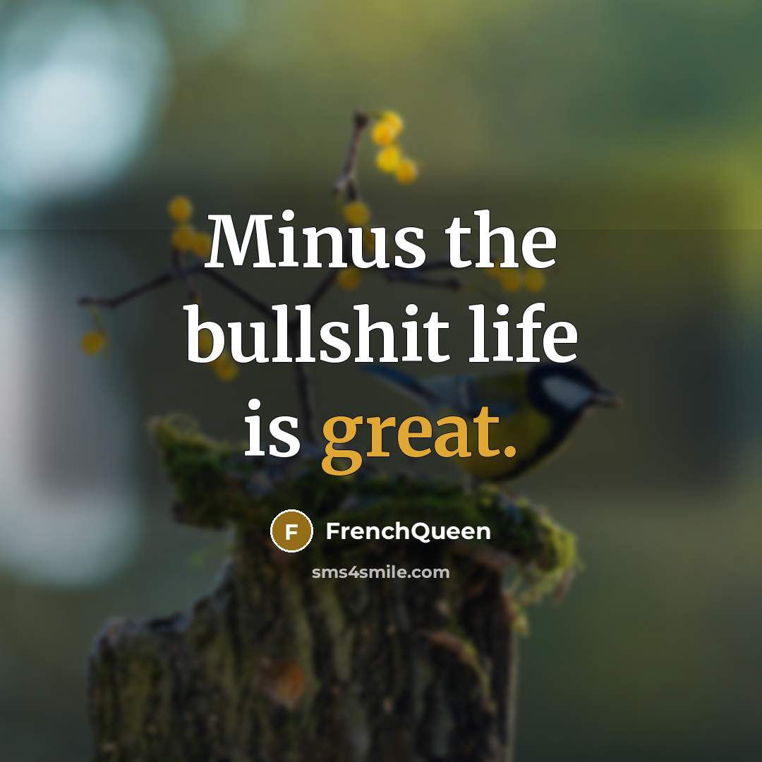 “Minus the bullshit life is great.…” quote by Frenchqueen