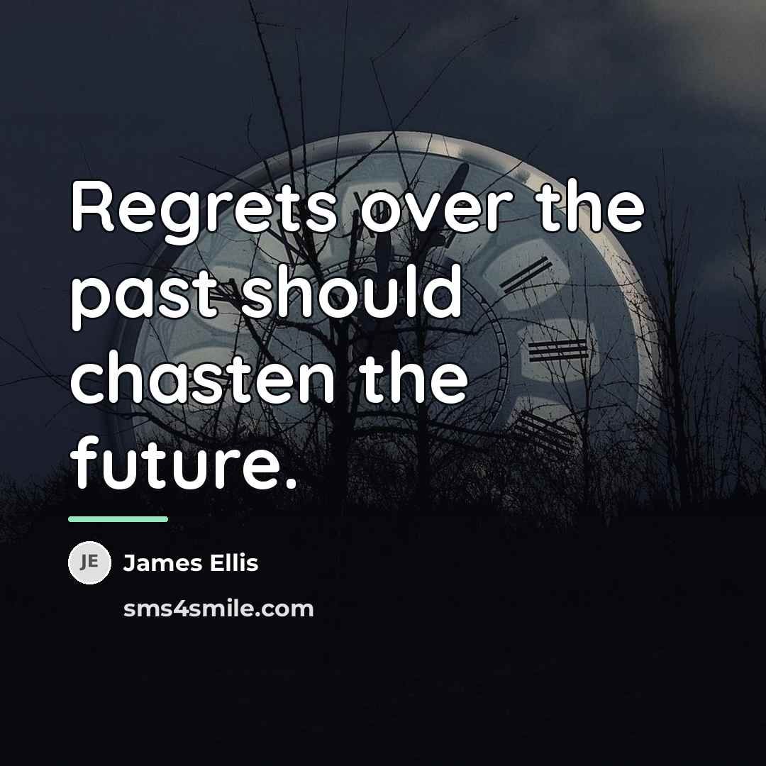 “Regrets over the past should chasten the future.…” quote by James Ellis