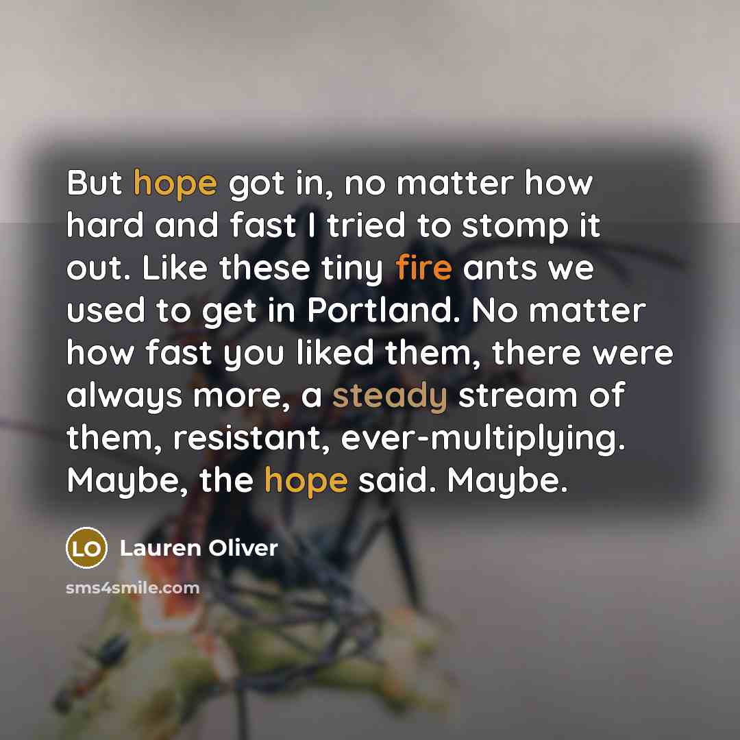 “But hope got in, no matter how hard and fast…” quote by Lauren Oliver