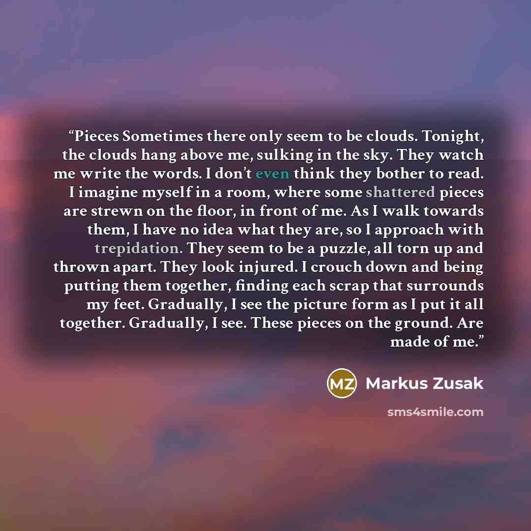 “Pieces Sometimes there only seem to be clouds. Tonight, the clouds hang above me, sulking in the sky. They watch me write the words. I don’t even think they bother to read. I imagine myself in a room, where some shattered pieces are strewn on the floor, in front of me. As I walk towards them, I…” quote by Markus Zusak