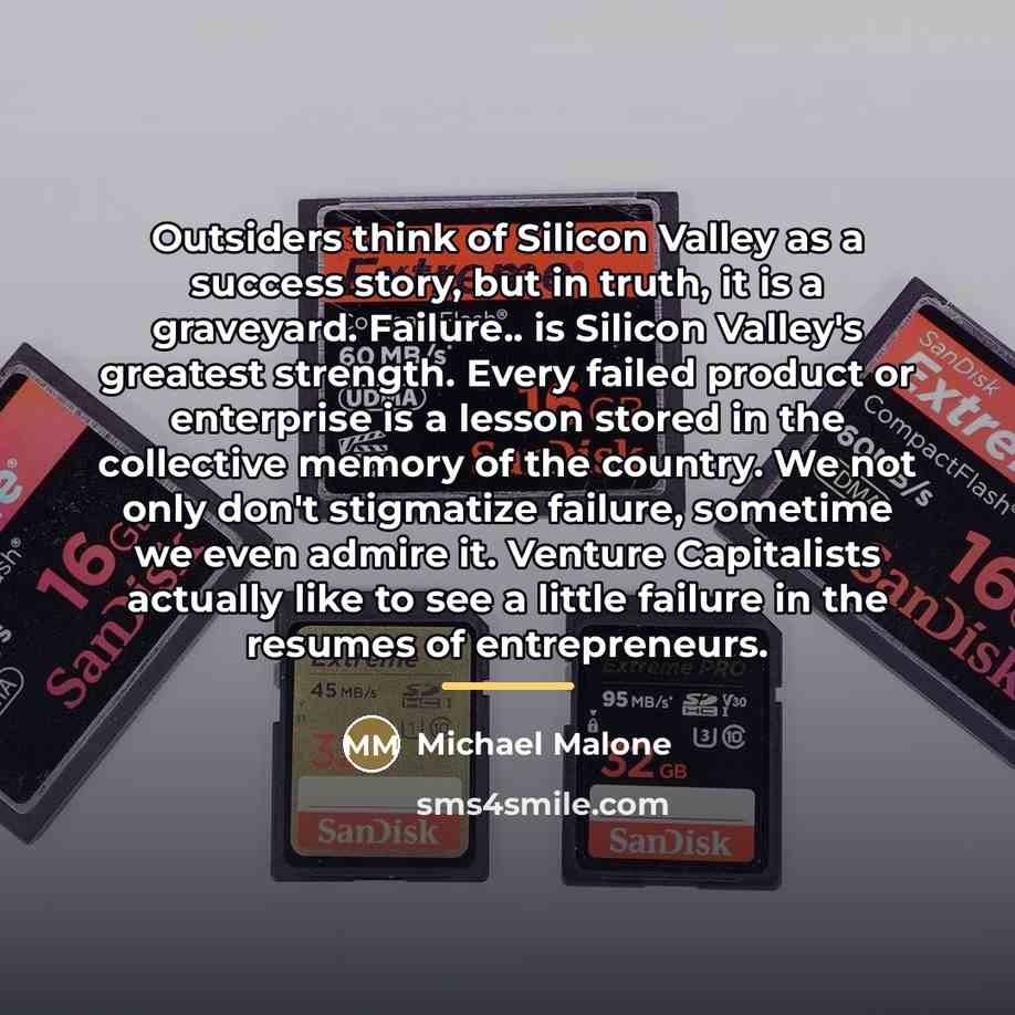 “Outsiders think of Silicon Valley as a success story, but…” quote by Michael Malone
