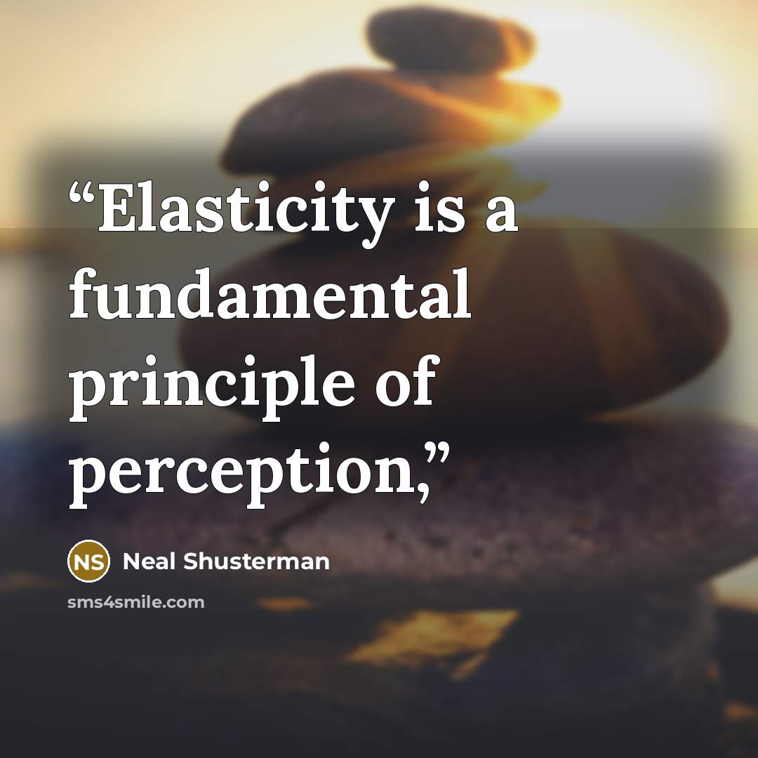 “Elasticity is a fundamental principle of perception,” quote by Neal Shusterman