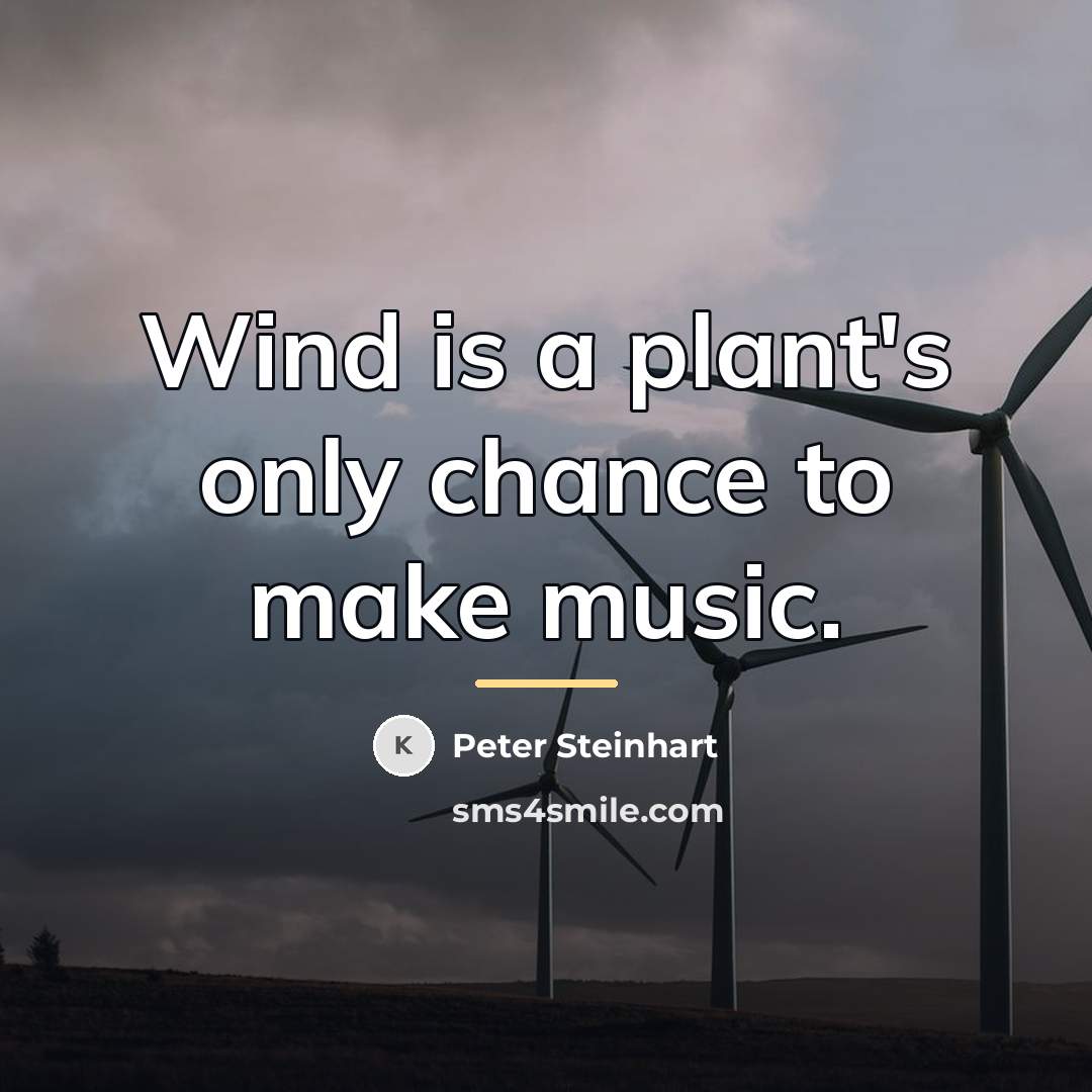 “Wind is a plant's only chance to make music.…” quote by Peter Steinhart