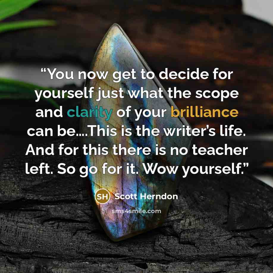 “You now get to decide for yourself just what the scope and clarity of your brilliance can be….This is the writer’s life. And for this there is no teacher left. So go for it. Wow yourself.” quote by Scott Herndon