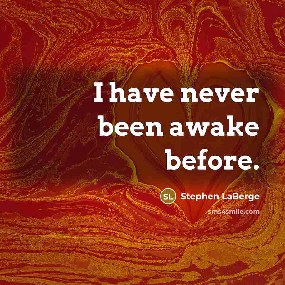 “I have never been awake before.…” quote by Stephen LaBerge