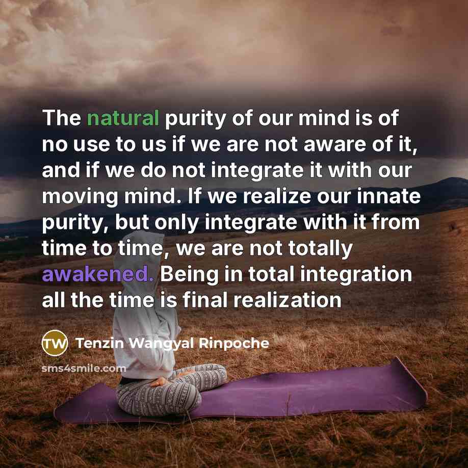 “The natural purity of our mind is of no use…” quote by Tenzin Wangyal Rinpoche