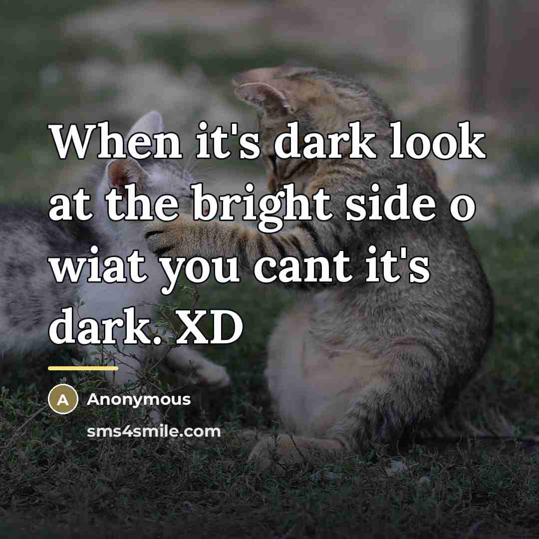 “When it's dark look at the bright side o wiat…” quote by Anonymous