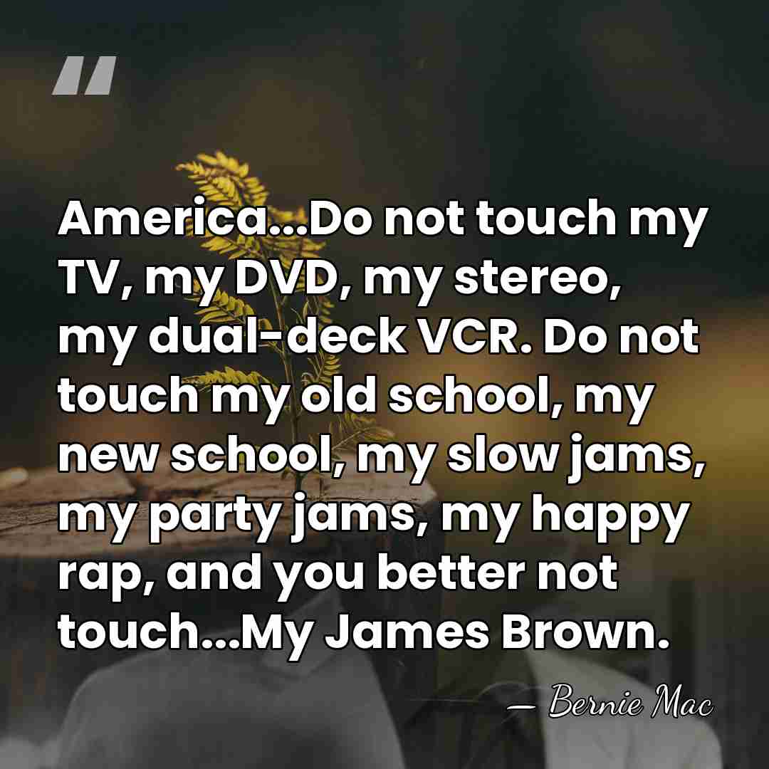 America...Do not touch my TV, my DVD, my stereo, my dual-deck VCR.&hellip; - Bernie Mac