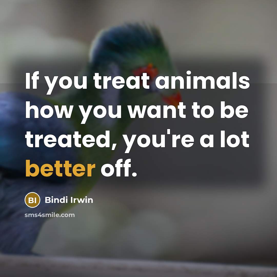 “If you treat animals how you want to be treated,…” quote by Bindi Irwin