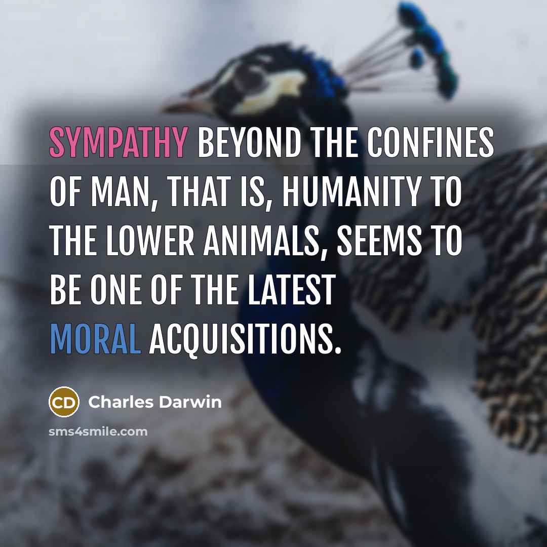 “Sympathy beyond the confines of man, that is, humanity to…” quote by Charles Darwin