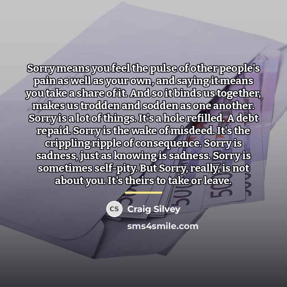 “Sorry means you feel the pulse of other people's pain…” quote by Craig Silvey