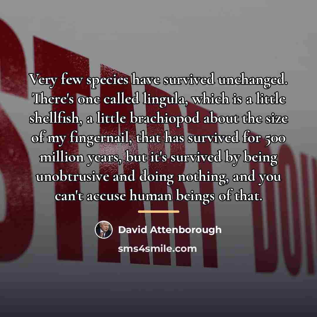 “Very few species have survived unchanged. There's one called lingula,…” quote by David Attenborough