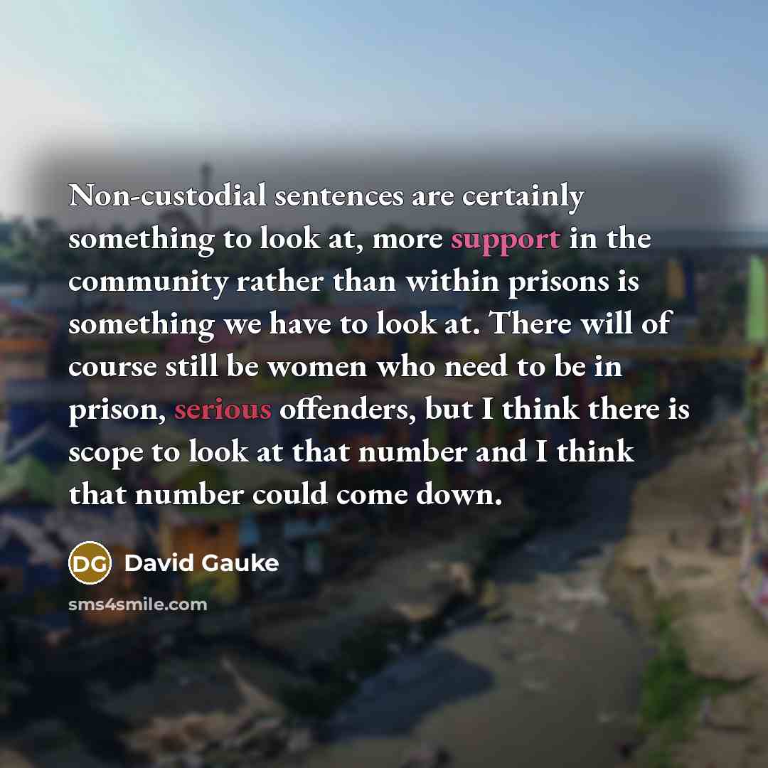 “Non-custodial sentences are certainly something to look at, more support…” quote by David Gauke