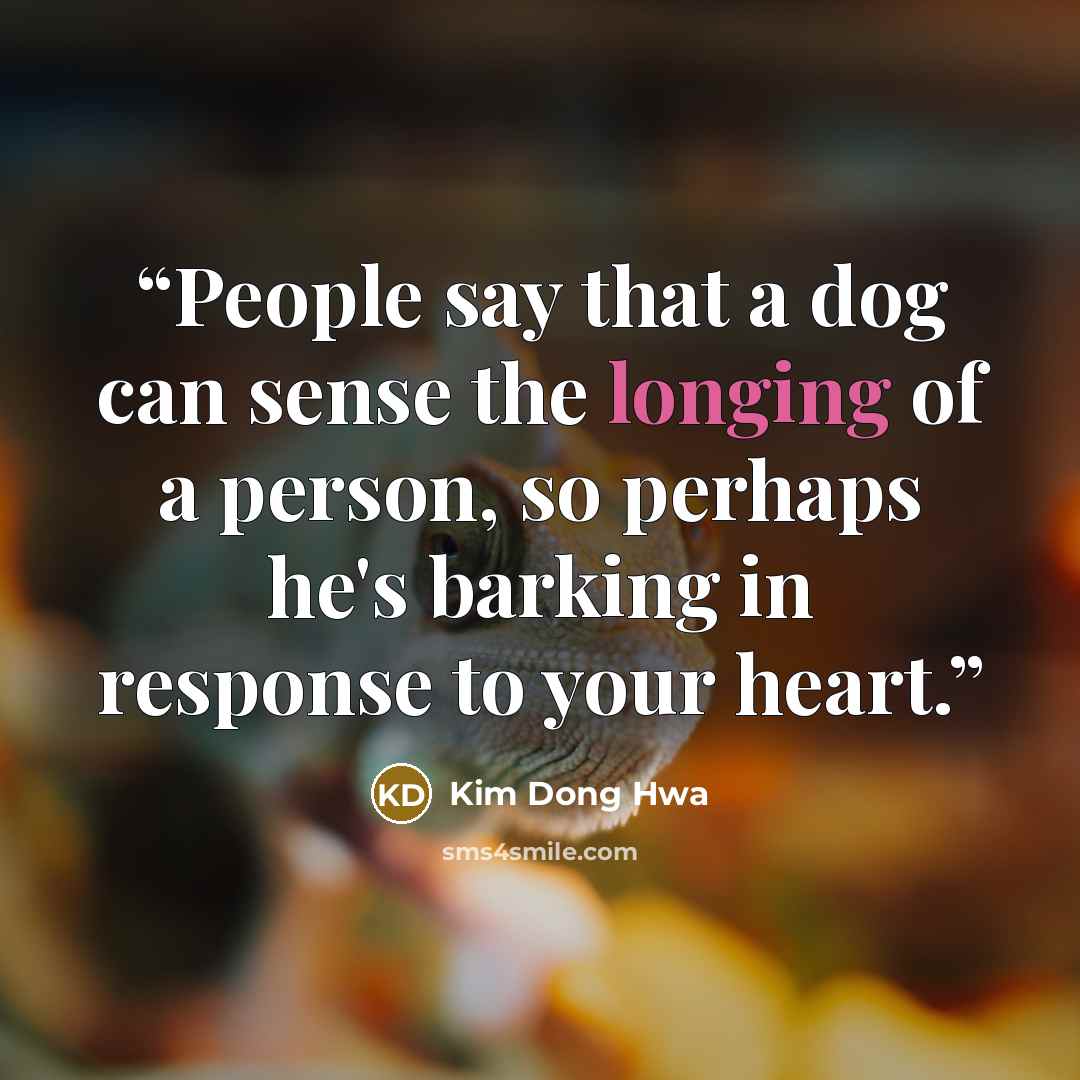 “People say that a dog can sense the longing of a person, so perhaps he's barking in response to your heart.” quote by Kim Dong Hwa