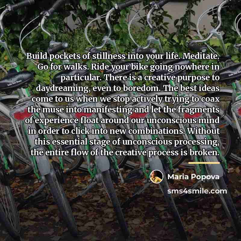“Build pockets of stillness into your life. Meditate. Go for…” quote by Maria Popova