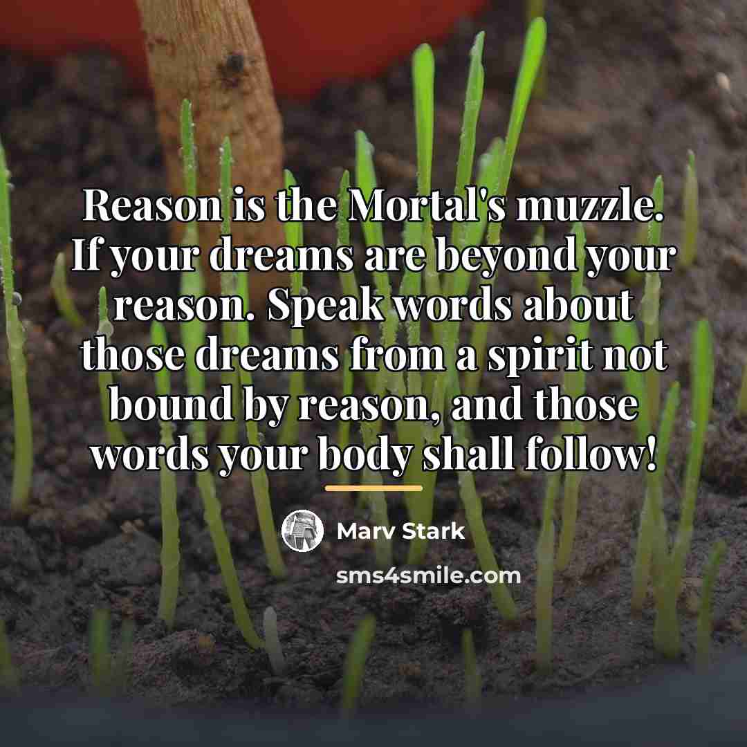 “Reason is the Mortal's muzzle. If your dreams are beyond…” quote by Marv Stark