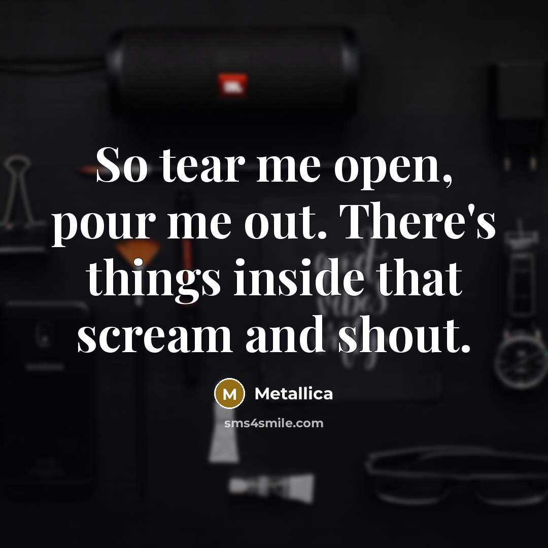 “So tear me open, pour me out. There's things inside…” quote by Metallica