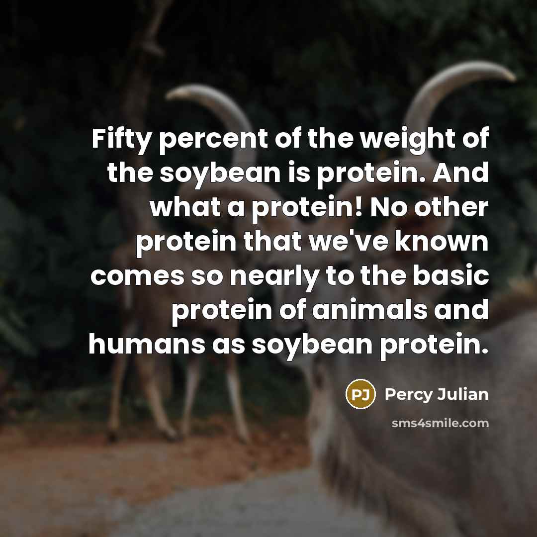 “Fifty percent of the weight of the soybean is protein.…” quote by Percy Julian