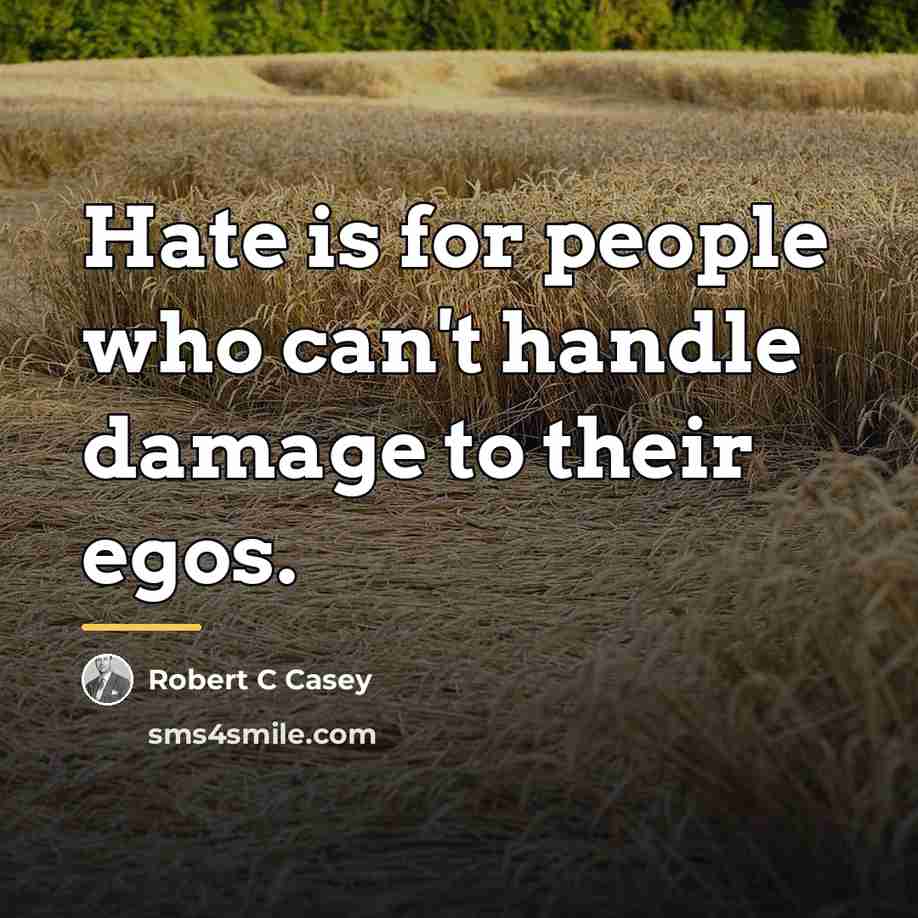 “Hate is for people who can't handle damage to their…” quote by Robert C Casey