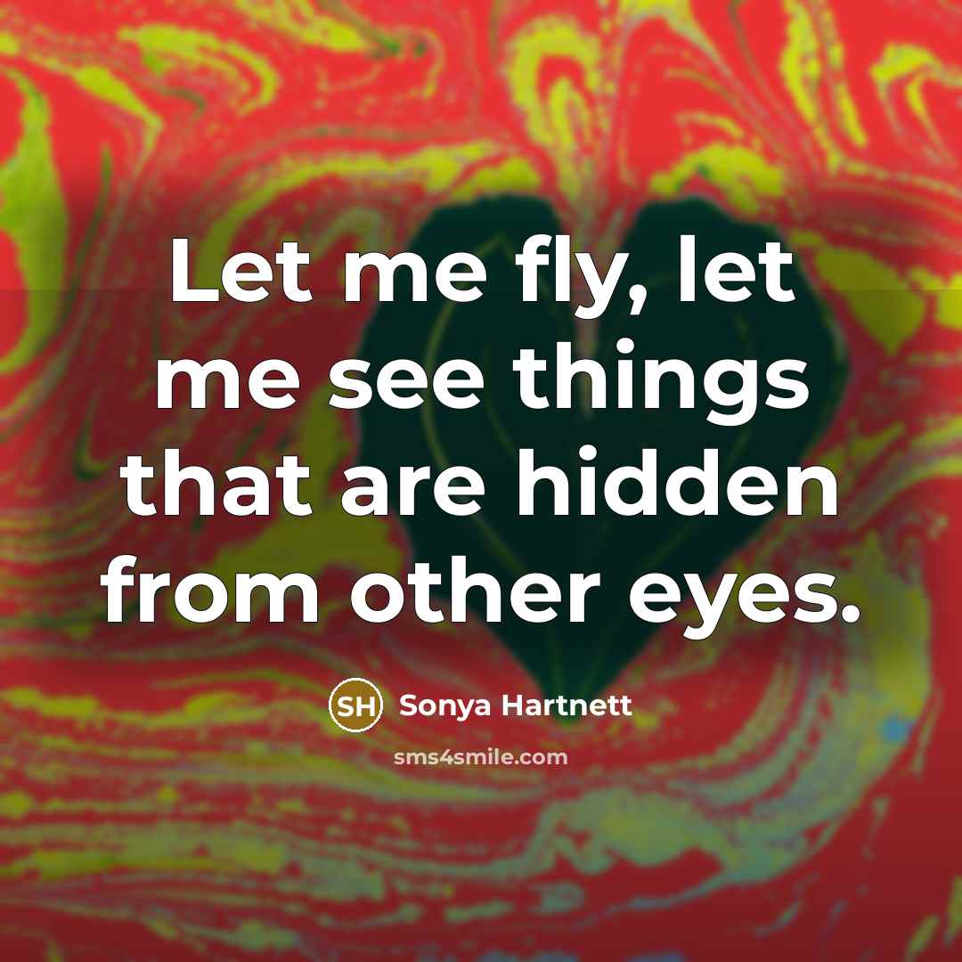 “Let me fly, let me see things that are hidden…” quote by Sonya Hartnett