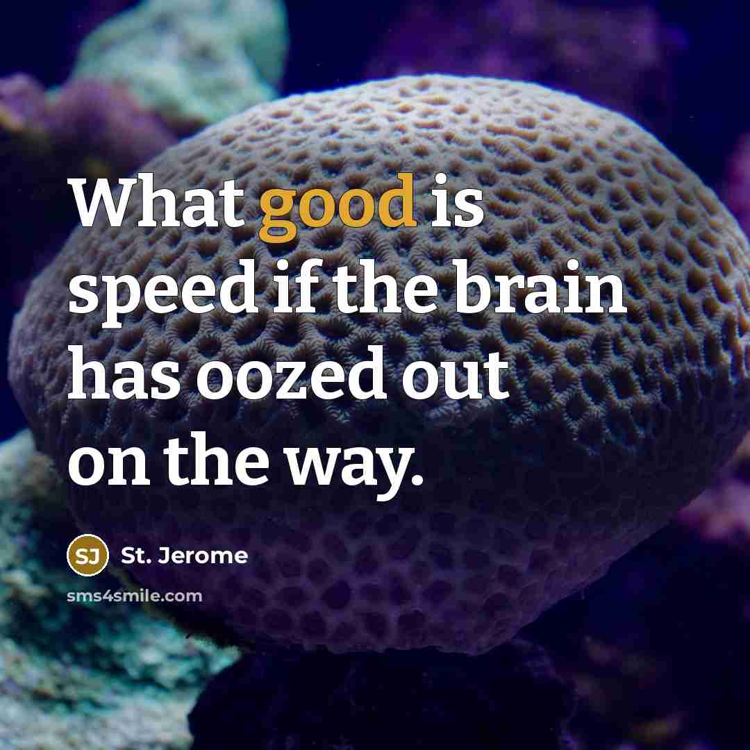 “What good is speed if the brain has oozed out…” quote by St. Jerome