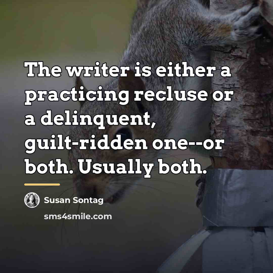 “The writer is either a practicing recluse or a delinquent,…” quote by Susan Sontag