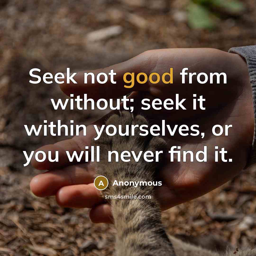 “Seek not good from without; seek it within yourselves, or you will never find it.” quote by Anonymous