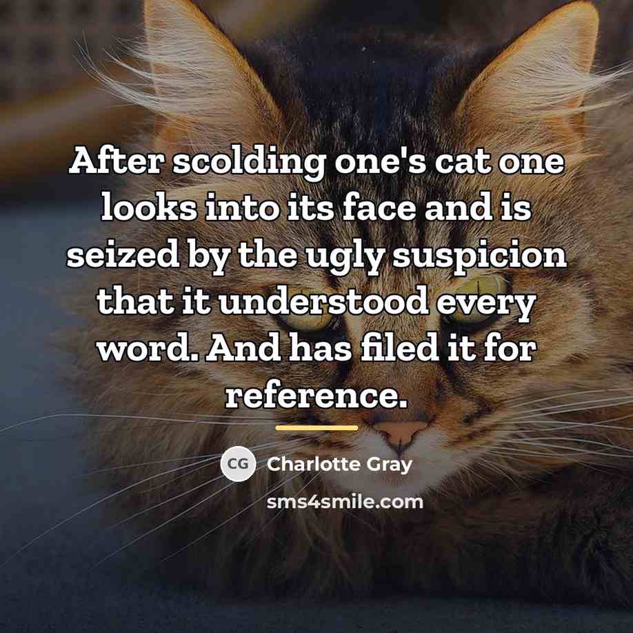 “After scolding one's cat one looks into its face and…” quote by Charlotte Gray