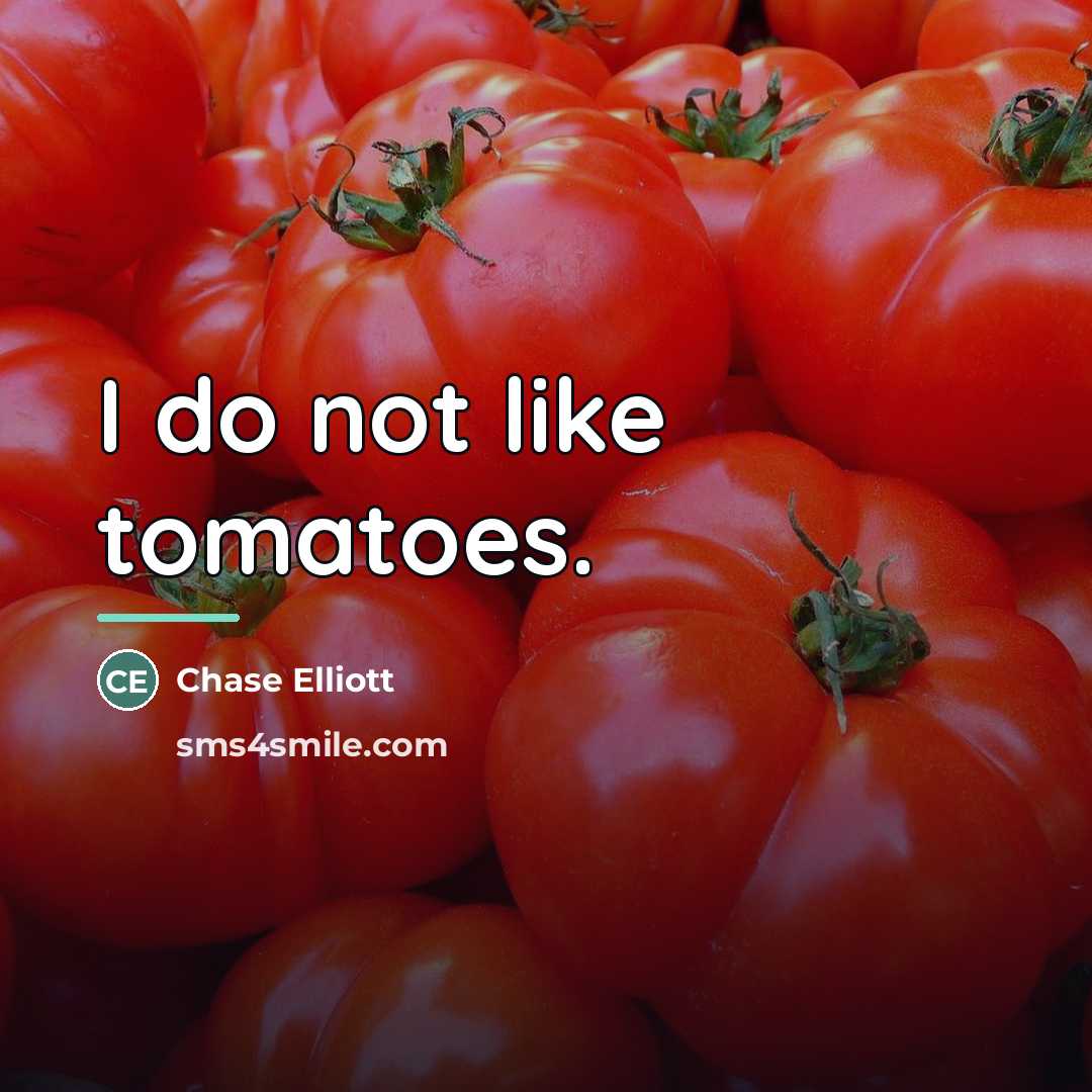 “I do not like tomatoes.…” quote by Chase Elliott