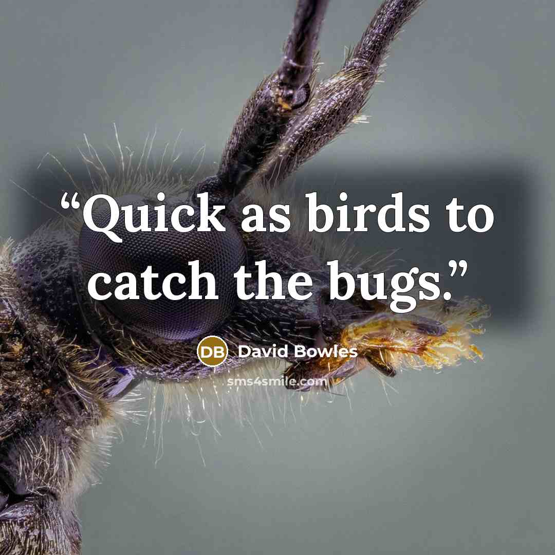 “Quick as birds to catch the bugs.” quote by David Bowles