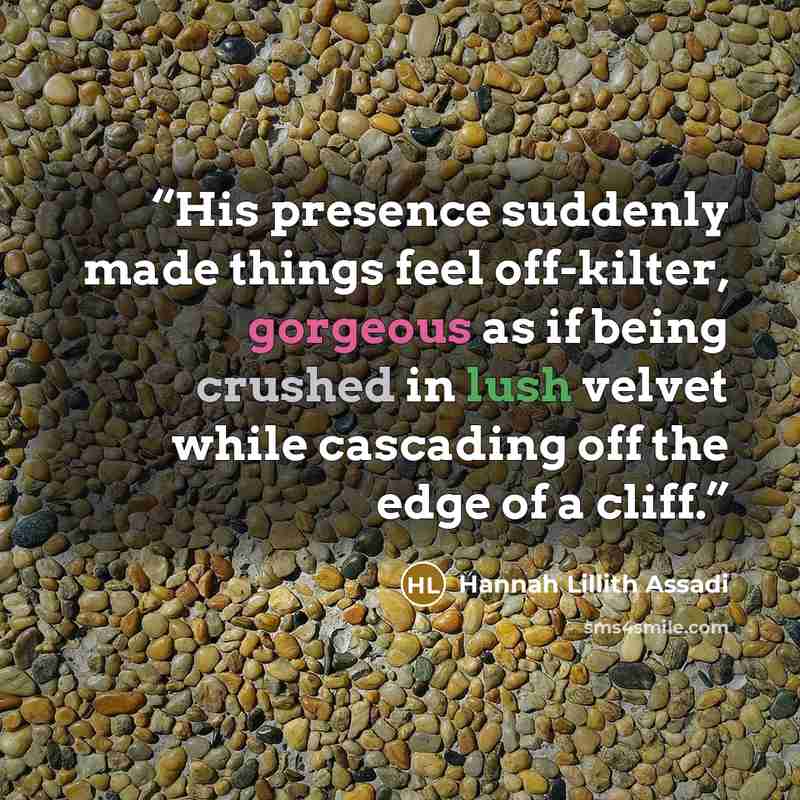 “His presence suddenly made things feel off-kilter, gorgeous as if being crushed in lush velvet while cascading off the edge of a cliff.” quote by Hannah Lillith Assadi