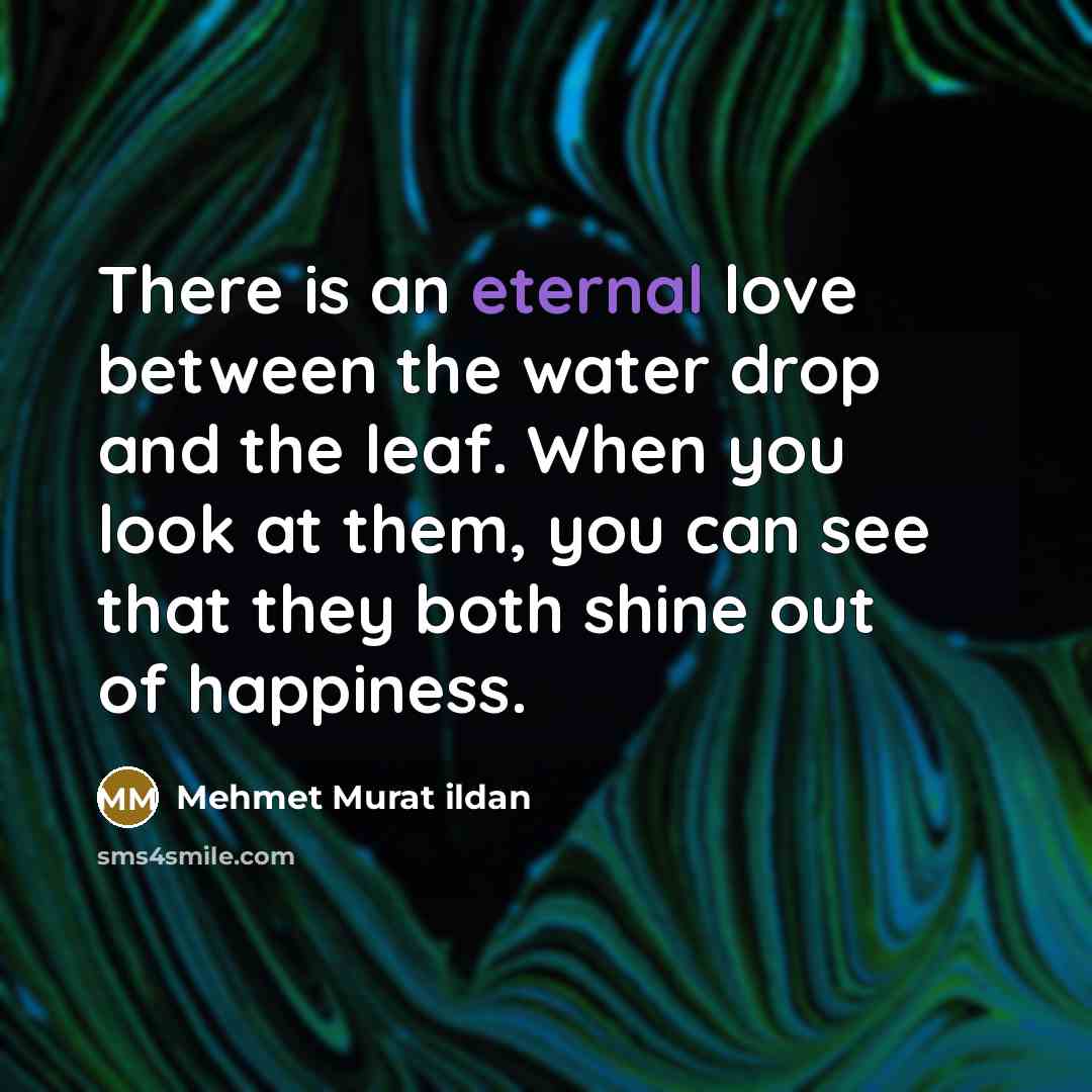 “There is an eternal love between the water drop and…” quote by Mehmet Murat Ildan