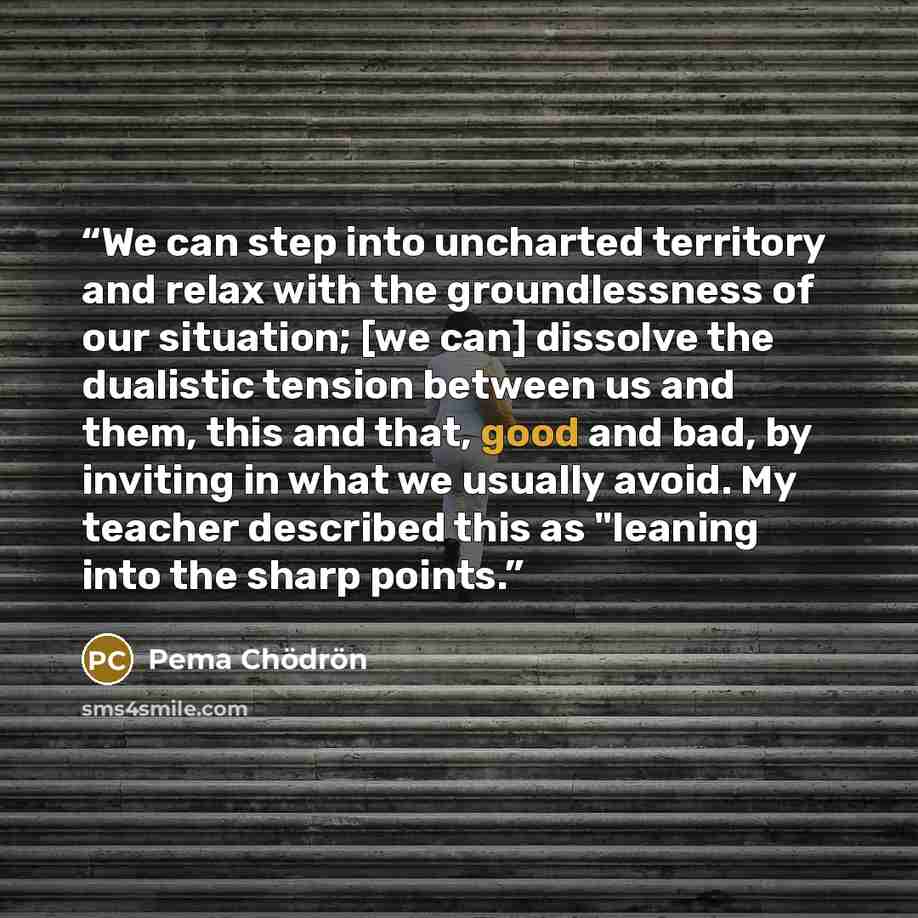 “We can step into uncharted territory and relax with the groundlessness of our situation; [we can] dissolve the dualistic tension between us and them, this and that, good and bad, by inviting in what we usually avoid. My teacher described this as "leaning into the sharp points.” quote by Pema Chödrön