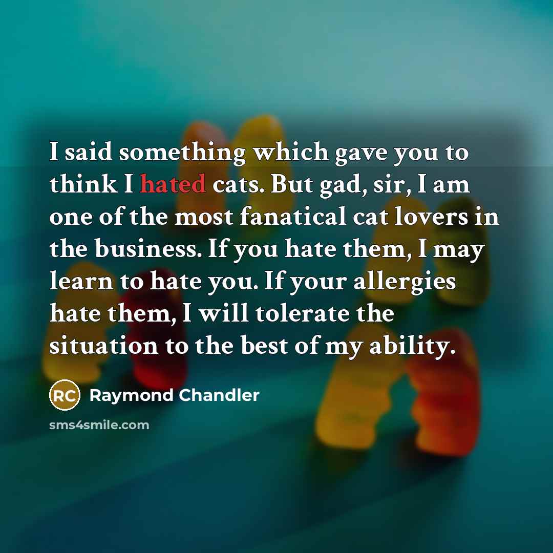 “I said something which gave you to think I hated…” quote by Raymond Chandler