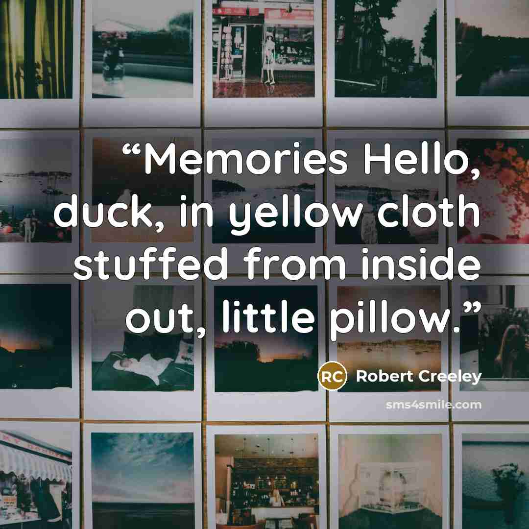 “Memories Hello, duck, in yellow cloth stuffed from inside out, little pillow.” quote by Robert Creeley