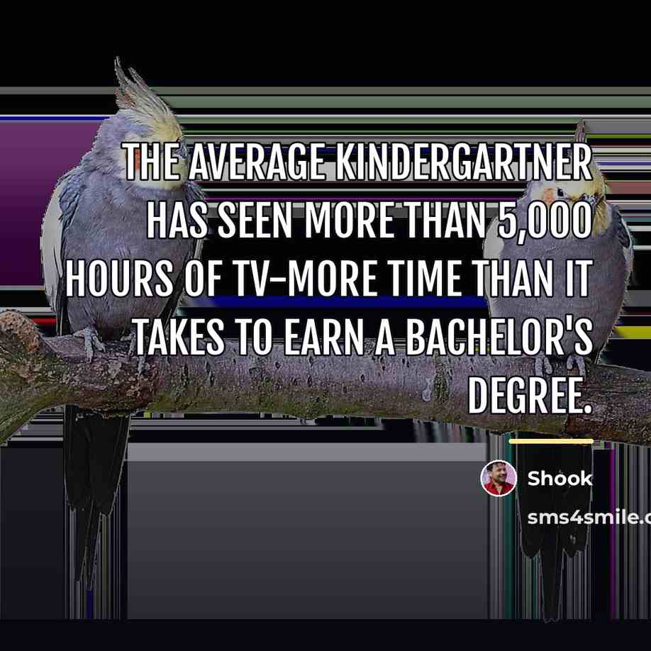 “The average kindergartner has seen more than 5,000 hours of…” quote by Shook