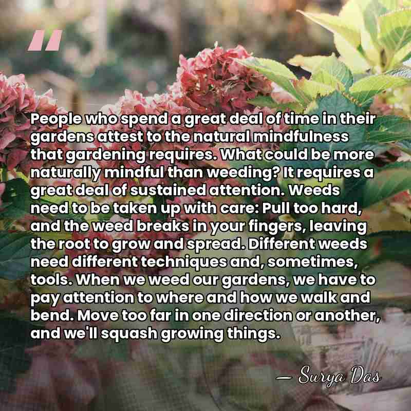People who spend a great deal of time in their gardens attest&hellip; - Surya Das