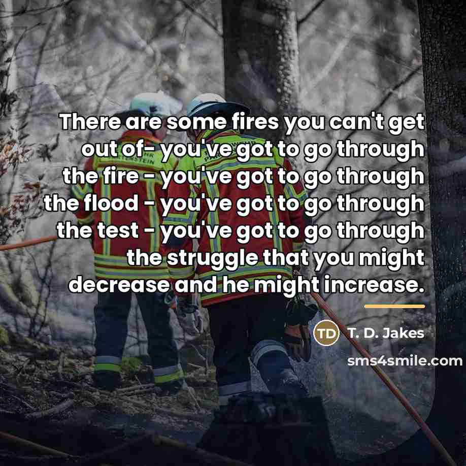 “There are some fires you can't get out of- you've…” quote by T. D. Jakes