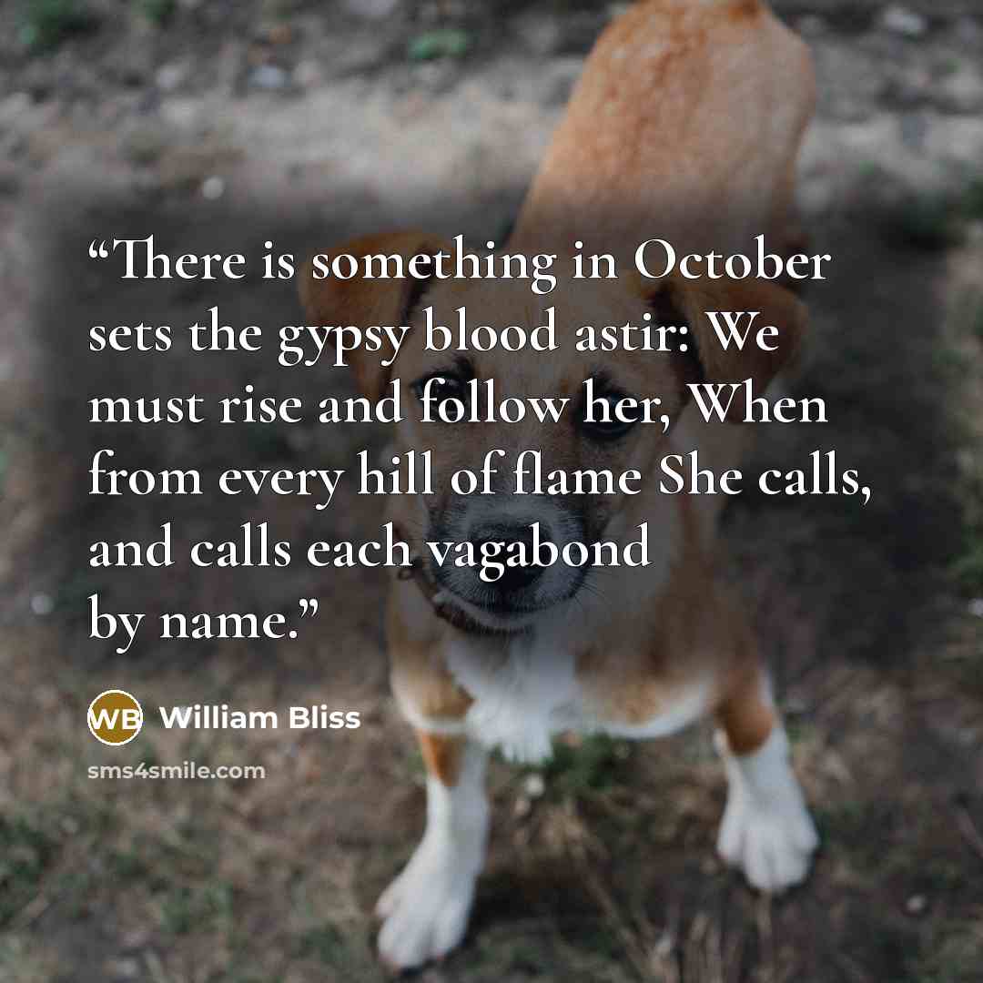 “There is something in October sets the gypsy blood astir: We must rise and follow her, When from every hill of flame She calls, and calls each vagabond by name.” quote by William Bliss