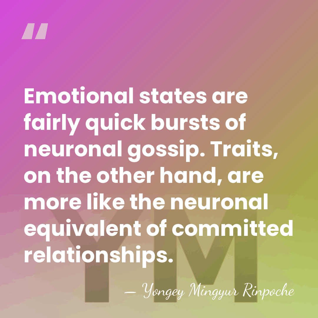 Emotional states are fairly quick bursts of neuronal gossip. Traits, on the&hellip; - Yongey Mingyur Rinpoche