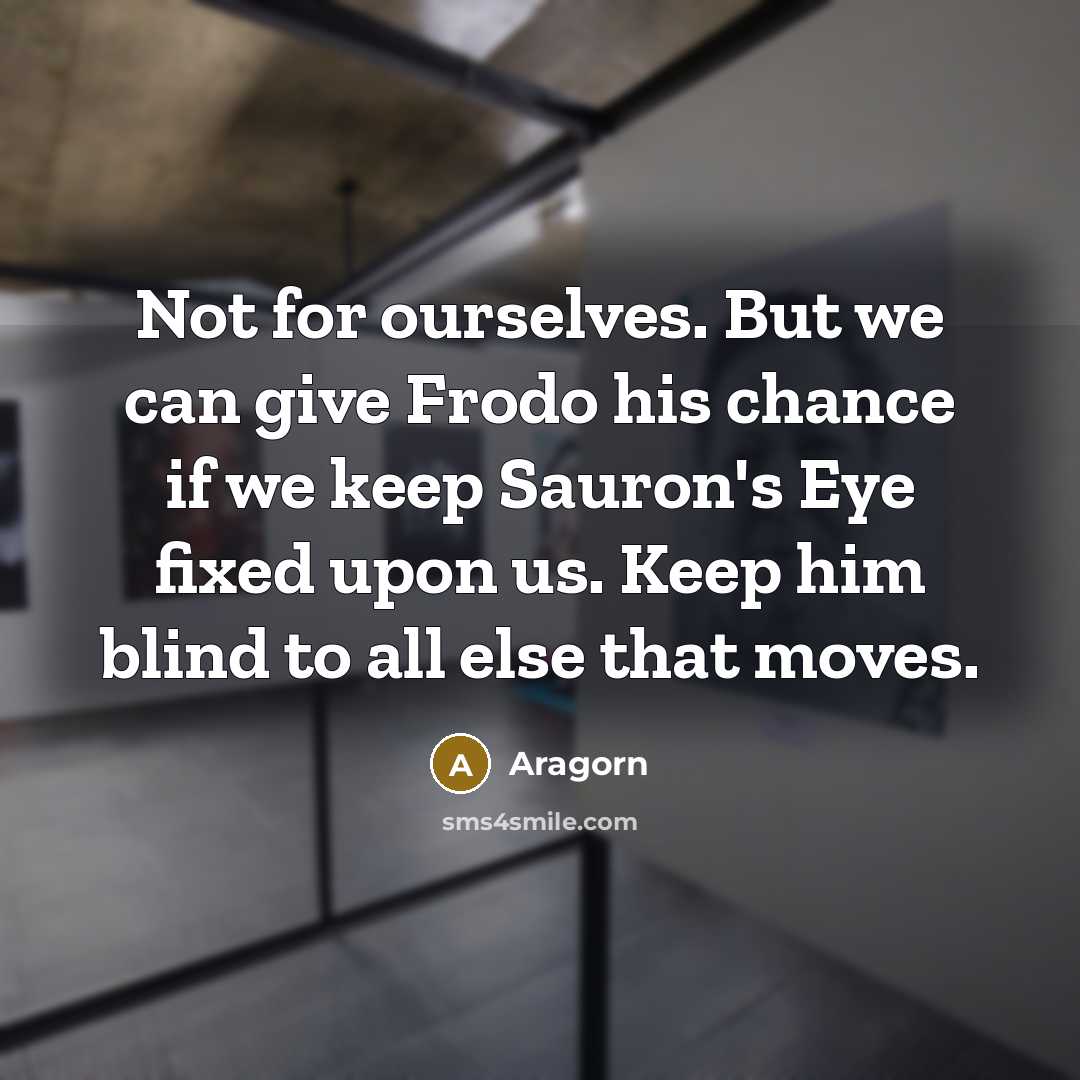 “Not for ourselves. But we can give Frodo his chance if we keep Sauron's Eye fixed upon us. Keep him blind to all else that moves.” quote by Aragorn