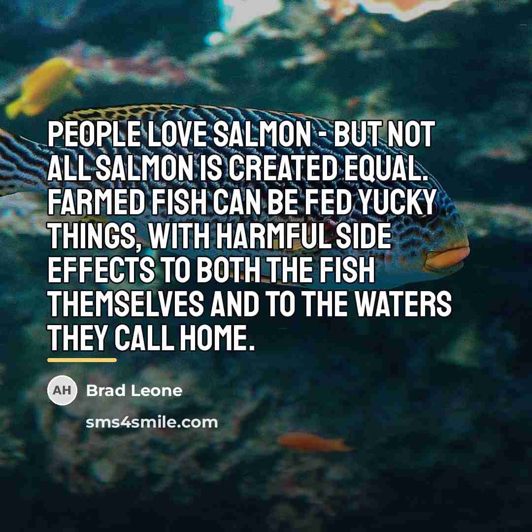 “People love salmon - but not all salmon is created…” quote by Brad Leone