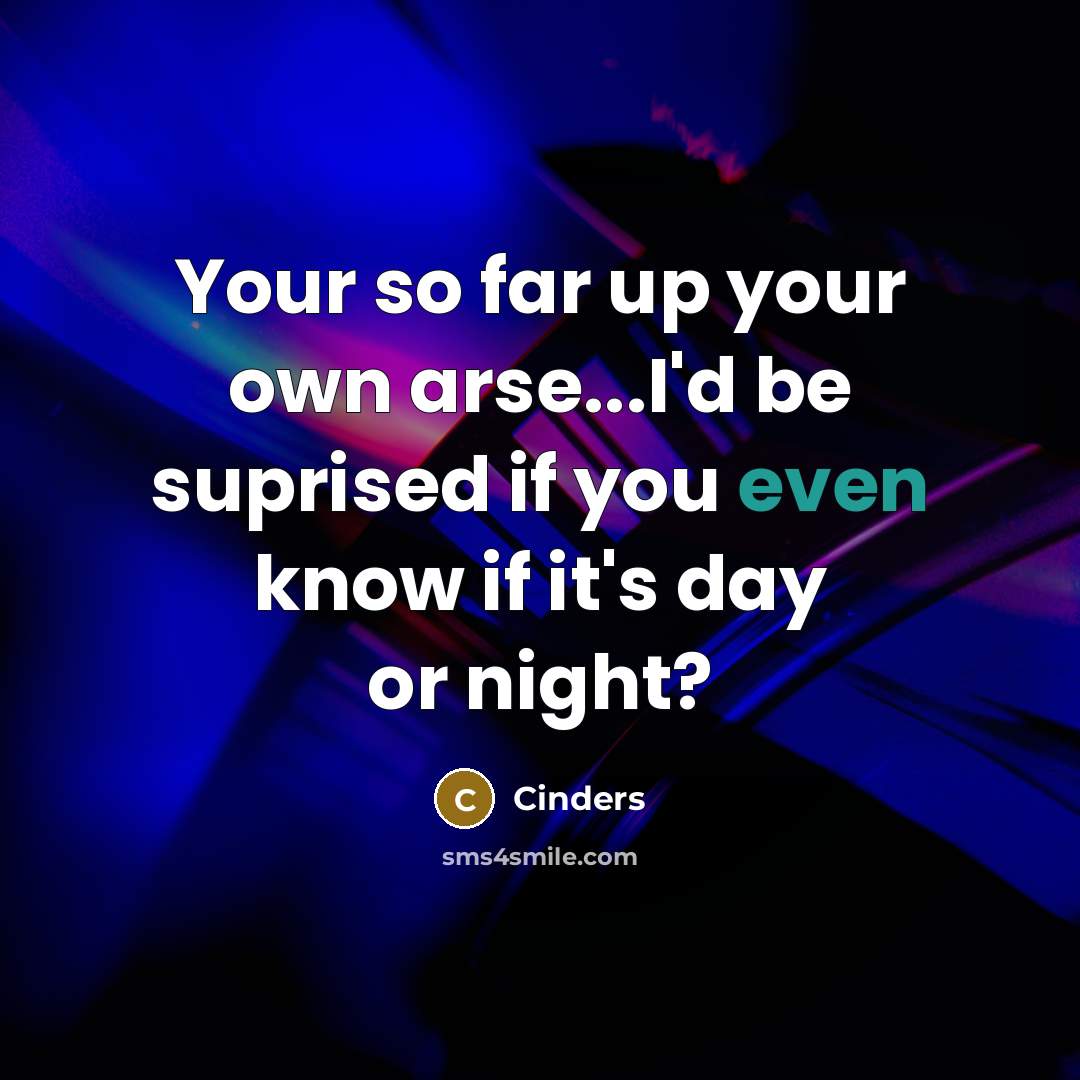 “Your so far up your own arse...I'd be suprised if you even know if it's day or night?” quote by Cinders