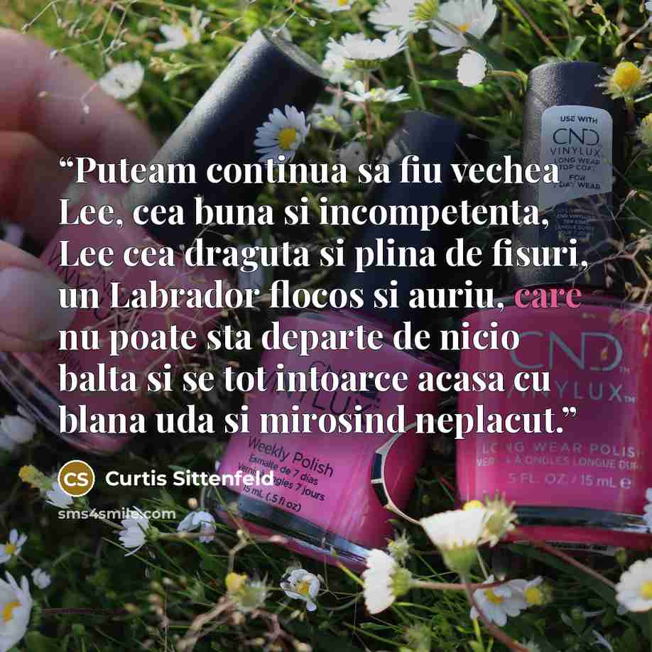 “Puteam continua sa fiu vechea Lee, cea buna si incompetenta, Lee cea draguta si plina de fisuri, un Labrador flocos si auriu, care nu poate sta departe de nicio balta si se tot intoarce acasa cu blana uda si mirosind neplacut.” quote by Curtis Sittenfeld