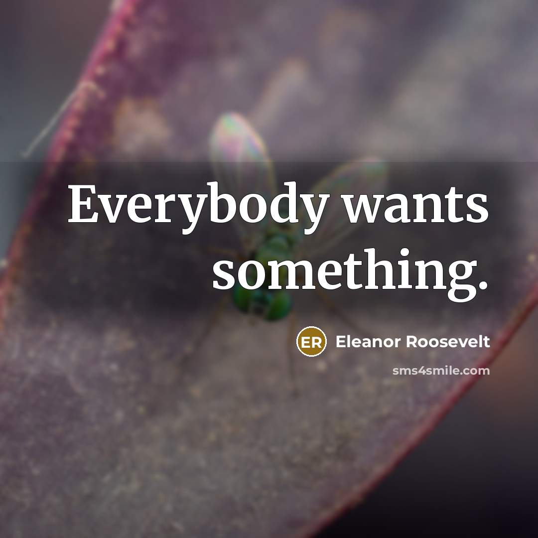 “Everybody wants something.…” quote by Eleanor Roosevelt