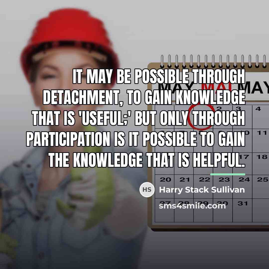 “It may be possible through detachment, to gain knowledge that…” quote by Harry Stack Sullivan